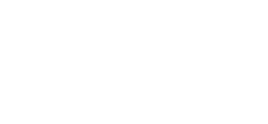 iFlex Logo